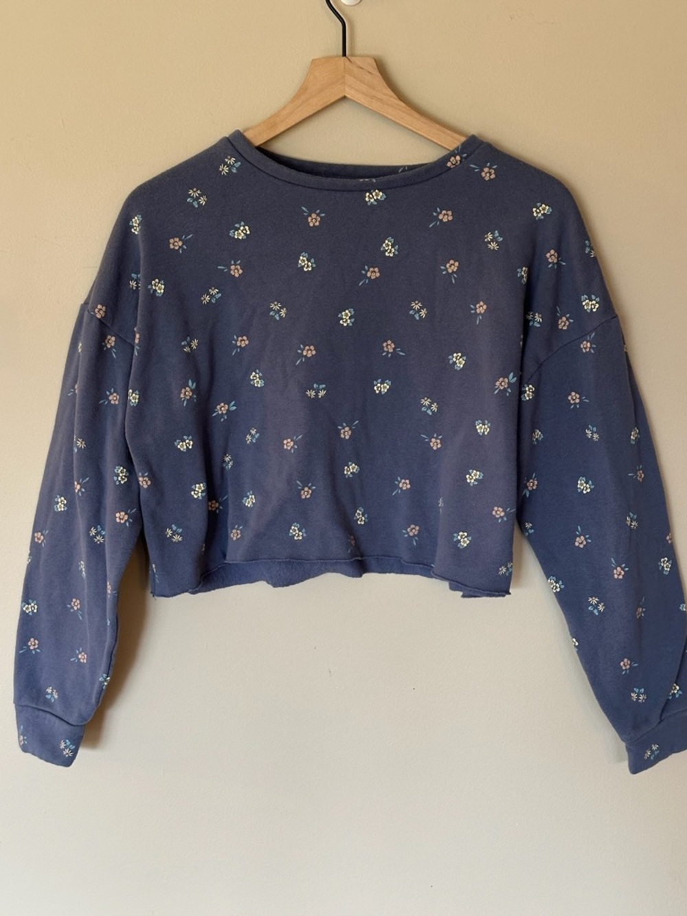 Cropped Blue Floral Sweatshirt Top